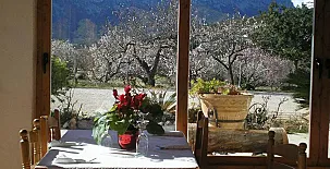 Casa el Peón de Pinos 002