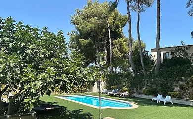 Hotel Rural Babalú en Finca Fanecaes en Biar (Alicante) - Foto 1