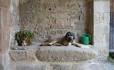 JORGE PEYROLON JIMENEZ en La Vall de Bianya (Girona) - Foto 22