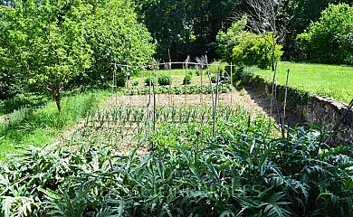 JORGE PEYROLON JIMENEZ en La Vall de Bianya (Girona) - Foto 16