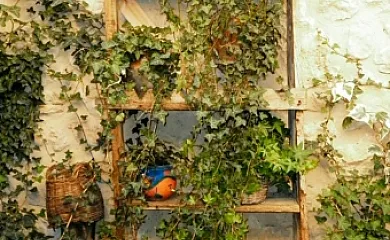 Casa Rural Calle Real en Torremocha de Ayllón (Soria) - Foto 12