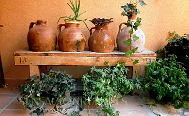 Casa Rural Calle Real en Torremocha de Ayllón (Soria) - Foto 13