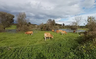 Los Cerezos en Ribadesella (Asturias) - Foto 19