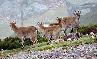 Casa Salva en La Rinconada de la Sierra (Salamanca) - Foto 23