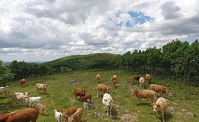 Casa Salva en La Rinconada de la Sierra (Salamanca) - Foto 24