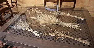 La Libélula Azul 0047