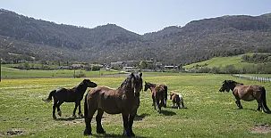 La Morada de Andoin 0020