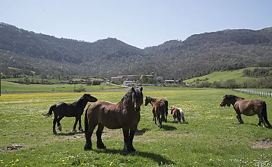 La Morada de Andoin en Asparrena (Álava) - Foto 20