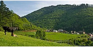 Casas Rurales Teixois 007