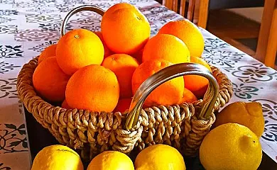 Las Gesillas en Arenas de San Pedro (Ávila) - Foto 2