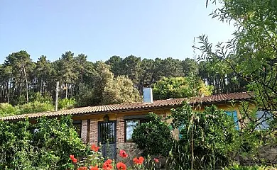 Las Gesillas en Arenas de San Pedro (Ávila) - Foto 3