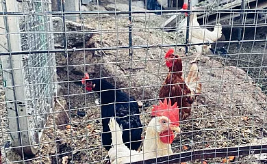 La Risquera en Burgohondo (Ávila) - Foto 3