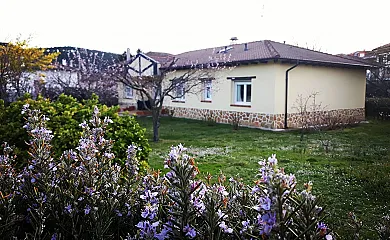 Las Mimosas en Arenas de San Pedro (Ávila) - Foto 1