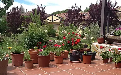 Las Mimosas en Arenas de San Pedro (Ávila) - Foto 2