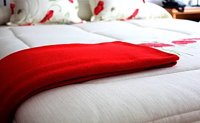 El Joyo en Poyales Del Hoyo (Ávila) - Foto 5