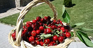 La Hacienda de Gredos 004