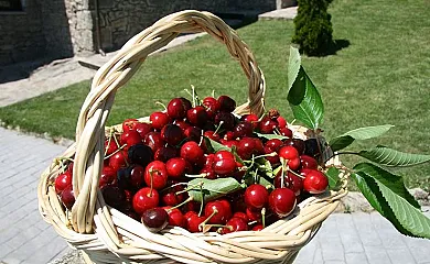 La Hacienda de Gredos en Guisando (Ávila) - Foto 4