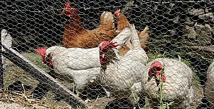 La Hacienda de Gredos 005