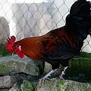 Casa Tía Clotilde 001