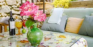 El Naturalista de Aravalle 005