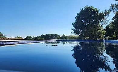 El bosque de la Herrezuela en Guisando (Ávila) - Foto 1