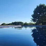 El bosque de la Herrezuela 001