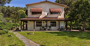 El bosque de la Herrezuela 003