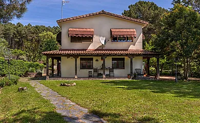 El bosque de la Herrezuela en Guisando (Ávila) - Foto 3