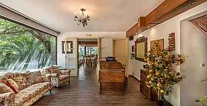 El bosque de la Herrezuela 005