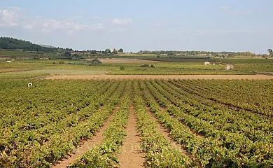 Les Orenetes y Cal Cabrer en Sant Jaume Dels Domenys (Tarragona) - Foto 14