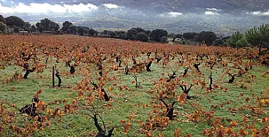 Las Viñas I y II 003