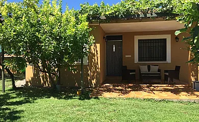 Las Olivas en Candeleda (Ávila) - Foto 2