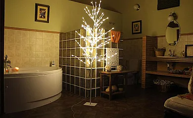 Casa Valentina en Candeleda (Ávila) - Foto 4