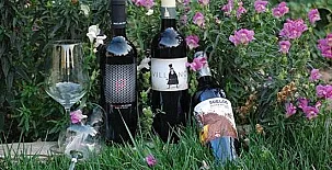 La Posada Real del Buen Camino 0043