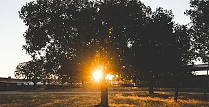 La Posada Real del Buen Camino 0049