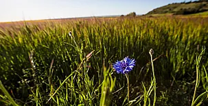 La Posada Real del Buen Camino 0052