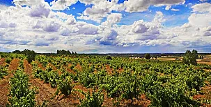 La Posada Real del Buen Camino 0062