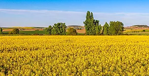 La Posada Real del Buen Camino 0064