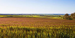 La Posada Real del Buen Camino 0083