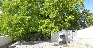 Fuente de la Argamasa 0024