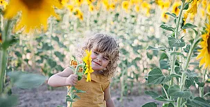 La Posada Real del Buen Camino 0089