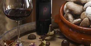 La Posada Real del Buen Camino 0099