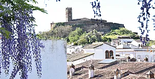 Casa El Marques de Robledal 0043