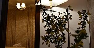 Casa El Marques de Robledal 0045