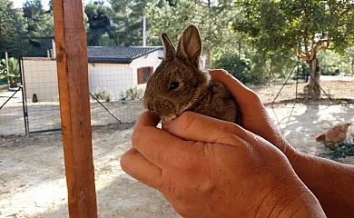Casas y apartamentos Playamonte Rural en Navarres (Valencia) - Foto 10