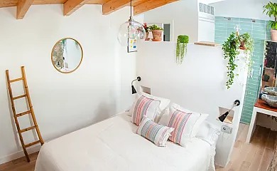 La buganvilla en Valdelaguna (Madrid) - Foto 9