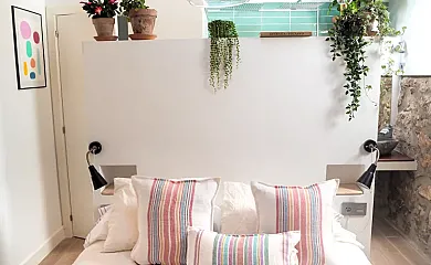 La buganvilla en Valdelaguna (Madrid) - Foto 10