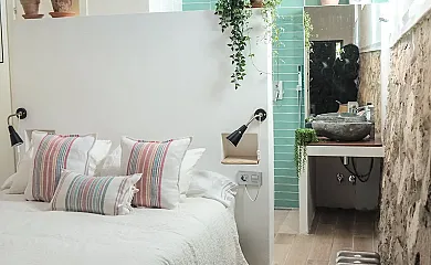 La buganvilla en Valdelaguna (Madrid) - Foto 12