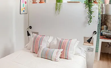 La buganvilla en Valdelaguna (Madrid) - Foto 13