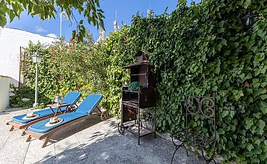 La buganvilla en Valdelaguna (Madrid) - Foto 4